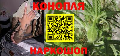 Альфа ПВП Будённовск