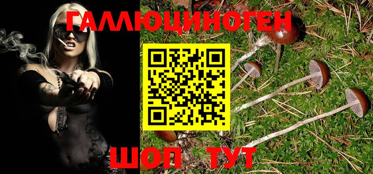 Можайск  Псилоцибиновые грибы Magic Shrooms  Вход с VPN  где купить   Псилоцибиновые грибы Psilocybe 